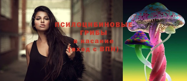 соль ск Алзамай